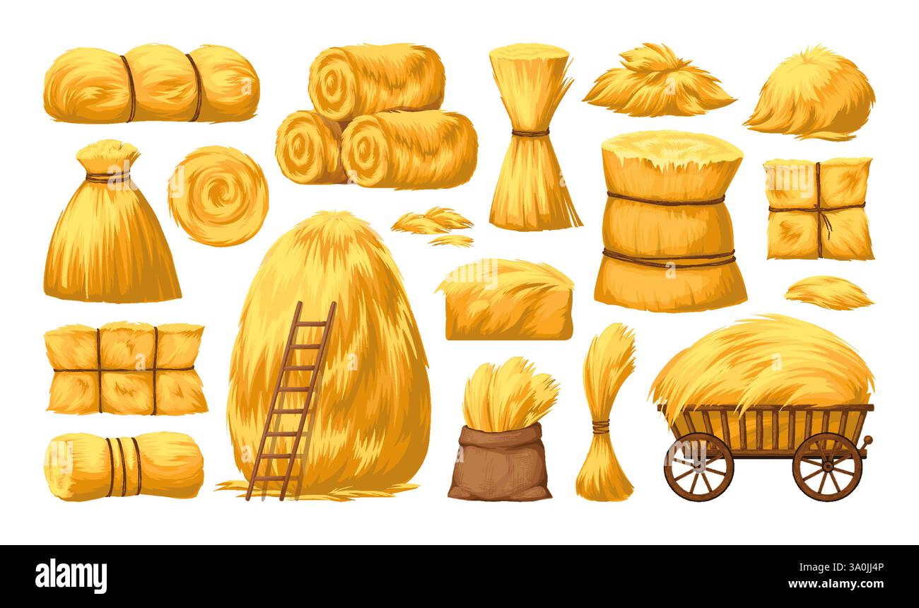 Foin de blé. Jeu isolé de pile de foin, pile de paille ou pile de balles de champ, chariot de ferme de chaume. Wagon en bois, brouette et herbe. Bétail de campagne. Vecteur Illustration de Vecteur