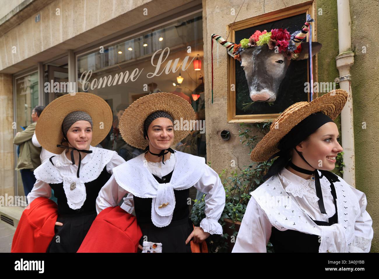 Le célèbre « Bazas Fat Ox Festival » en Gironde dans le sud-ouest de la France a lieu chaque année depuis 1283. Photo de Hugo Martin/Alamy. Banque D'Images