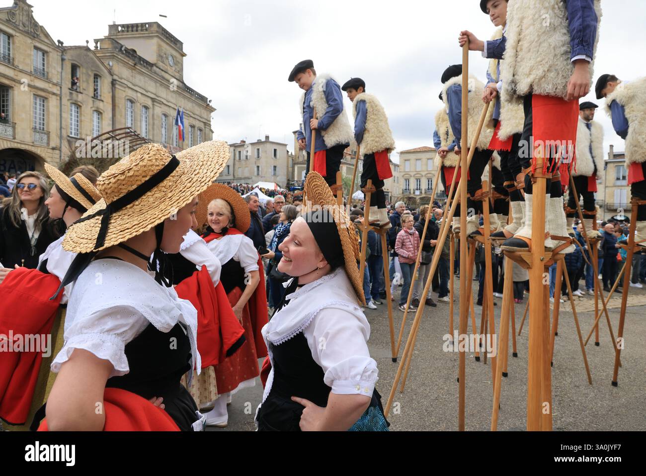 Le célèbre « Bazas Fat Ox Festival » en Gironde dans le sud-ouest de la France a lieu chaque année depuis 1283. Photo de Hugo Martin/Alamy. Banque D'Images
