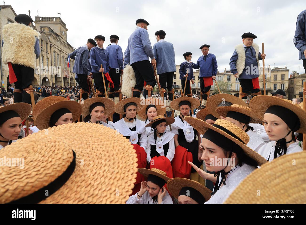 Le célèbre « Bazas Fat Ox Festival » en Gironde dans le sud-ouest de la France a lieu chaque année depuis 1283. Photo de Hugo Martin/Alamy. Banque D'Images