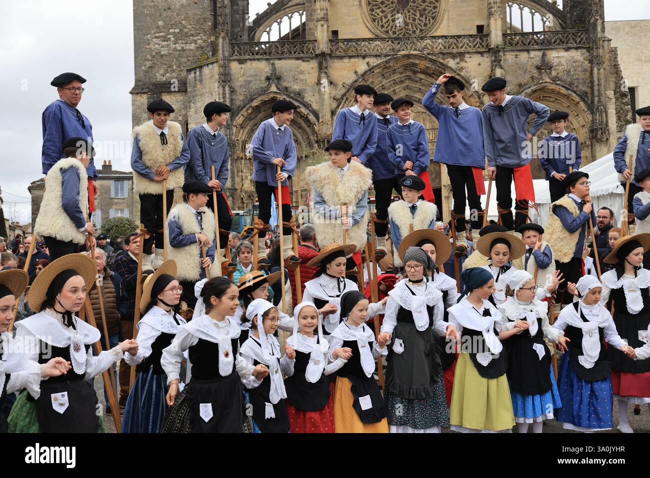 Le célèbre « Bazas Fat Ox Festival » en Gironde dans le sud-ouest de la France a lieu chaque année depuis 1283. Photo de Hugo Martin/Alamy. Banque D'Images