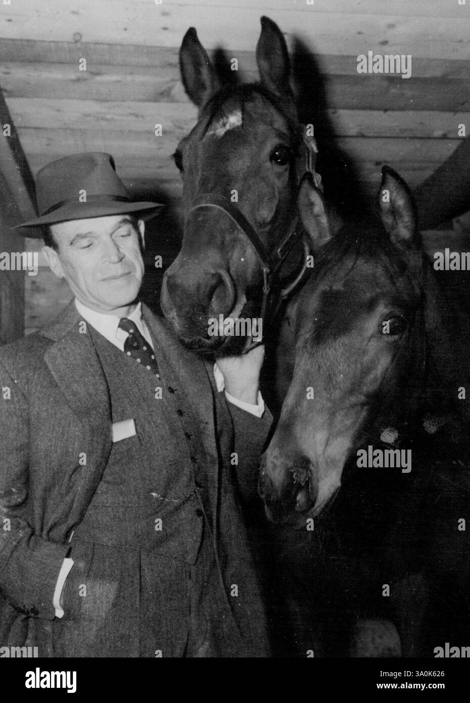 La jument Brood Tollgate et son pouliche ont été accueillis par leur nouveau propriétaire, Mr. J. C. Bendrodt, quand ils sont arrivés à Sydney en provenance d'Angleterre par le Port Wellington aujourd'hui. Le poulain est par le cheval français, son Éminence II. le coût du débarquement, avec le poulain, était de £4000. Le péage est maintenant en poulain pour le cheval du Roi Rising Light. C’est la seule fois qu’une jument en poulain à un cheval de roi, est venue en Australie. Tollgate est par Tolgus, qui était invaincu comme cheval de course. La jument, qui a été élevée par le duc de Portland, rejoindra d’autres juments importées anglaises et françaises à Prince’s Farm, pour être accouplée avec War Eagle. 11 octobre Banque D'Images