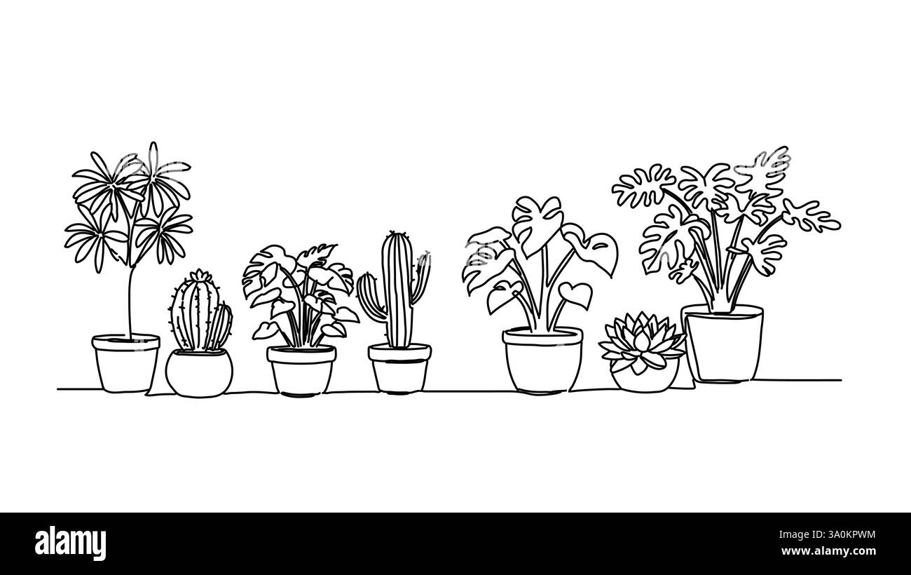 Dessins d'art au trait de plantes en pot. Cactus succulents monstera schefflera. Décoration intérieure à motifs botaniques. Contour minimaliste contour blanc Illustration de Vecteur