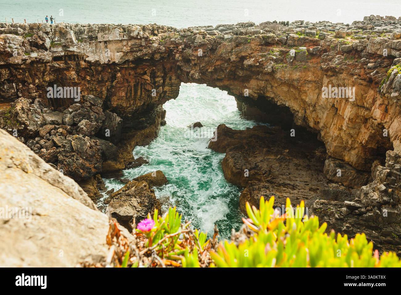 Une arche naturelle spectaculaire creusée dans les falaises rocheuses, avec des vagues turquoises qui s'écrasent en dessous, entourée d'un terrain accidenté et de plantes côtières vibrantes, Banque D'Images
