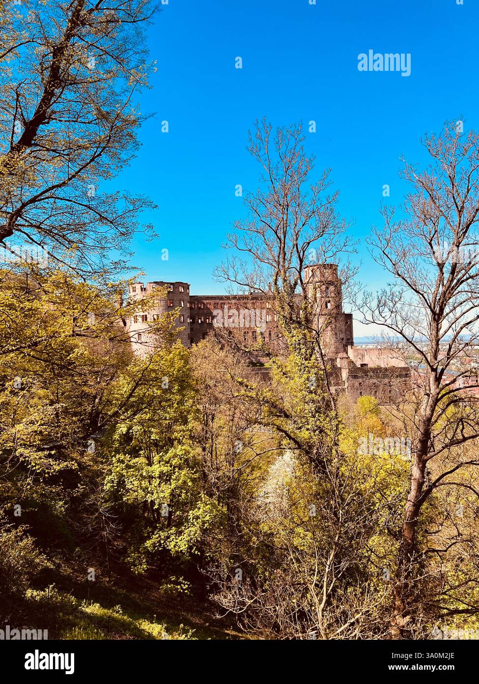 Château de Heidelberger, Allemagne. Banque D'Images