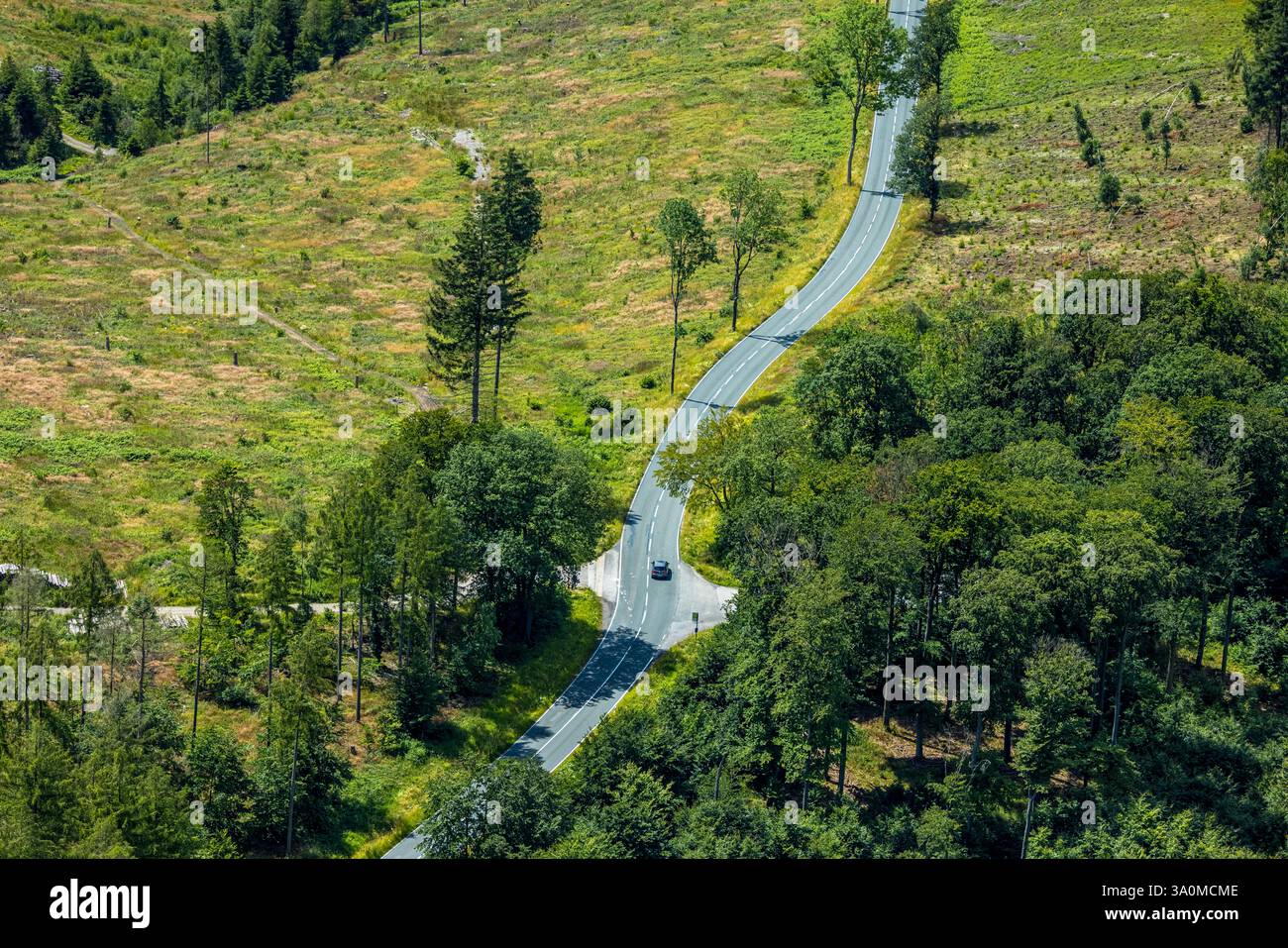 Vue aérienne, serpentins à l'Ochsenkopf entre Arnsberg et Sundern dans la zone forestière avec des dommages forestiers Stockumer Höhe, Sunderner Straße Landess Banque D'Images