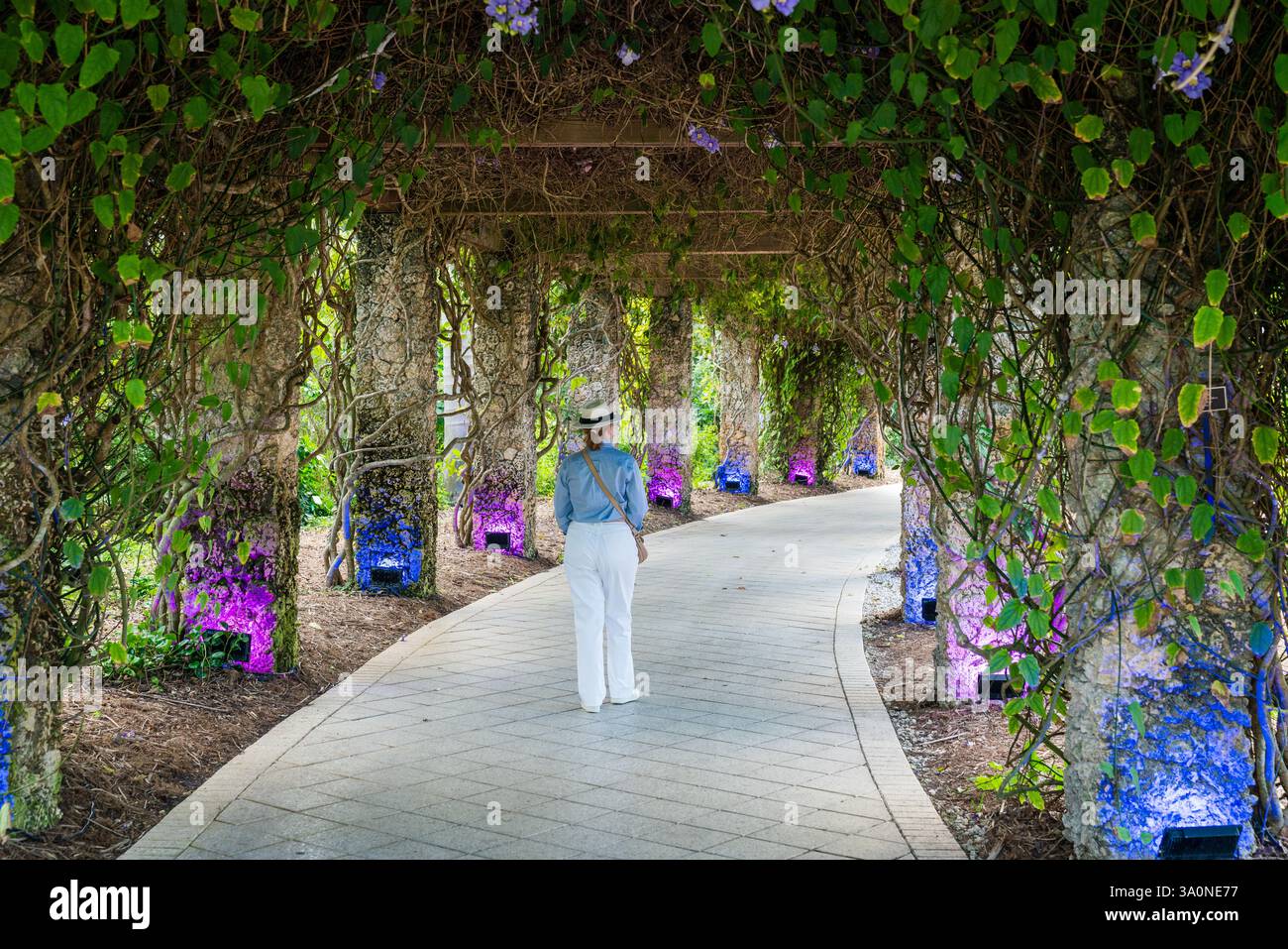 а femme marchant dans l'allée couverte dans un parc en Floride Banque D'Images