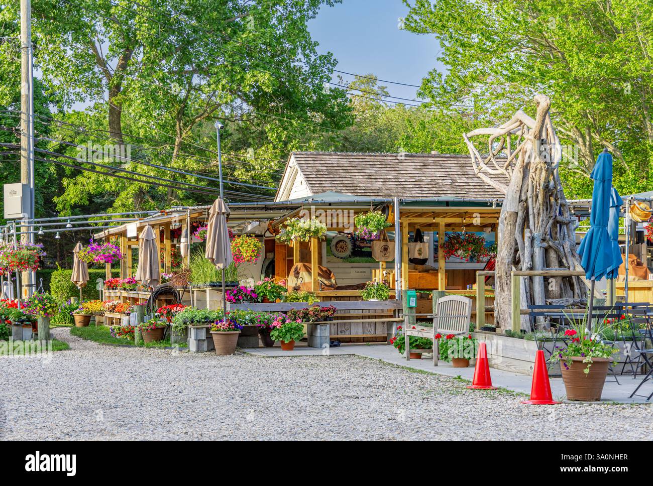 extérieur du marché serein green farms un jour d'été Banque D'Images