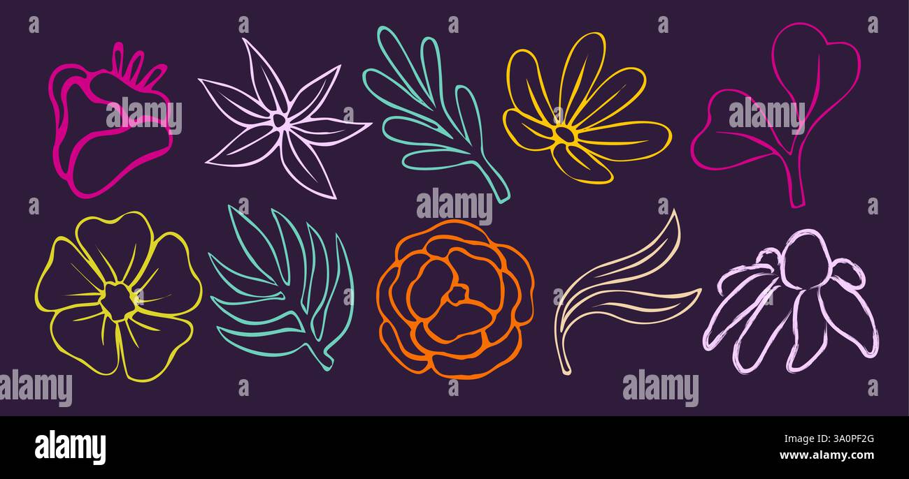 Un ensemble de fleurs colorées dessinées de manière stylisée Illustration de Vecteur