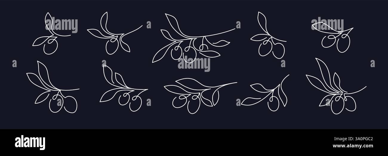 Olives dans la collecte en ligne continue. Style d'esquisse artistique vectorielle. Signe minimaliste isolé. Arborescence graphique, branche. Imprimé cuisine méditerranéenne, arôme frais o Illustration de Vecteur