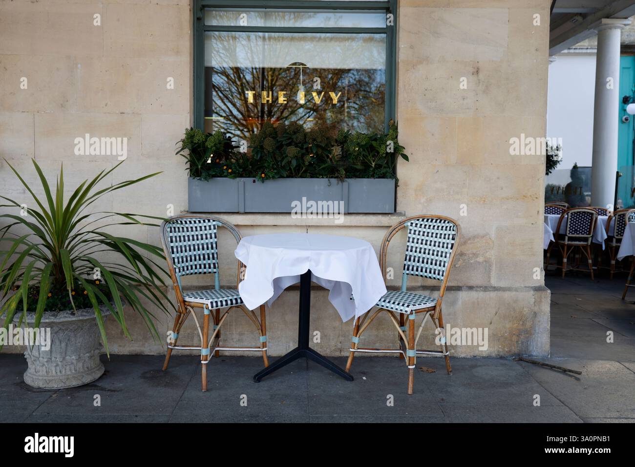 The Ivy, Montpellier Walk, Cheltenham, Gloucestershire, Angleterre. - 4 mars 2025 photo par Andrew Higgins/©Thousand Word Media Ltd 2025 Banque D'Images