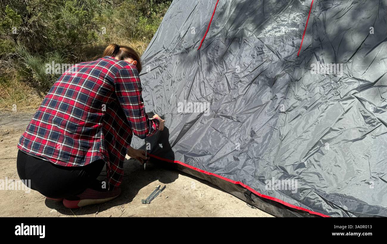 Une femme ancrant une tente en martelant des piquets dans le sol. Capturé dans une forêt d'été, entouré d'arbres verts. Configuration du camping en cours. Banque D'Images Une femme ancrant une tente en martelant des piquets dans le sol. Capturé dans une forêt d'été, entouré d'arbres verts. Configuration du camping en cours. Banque D'Images