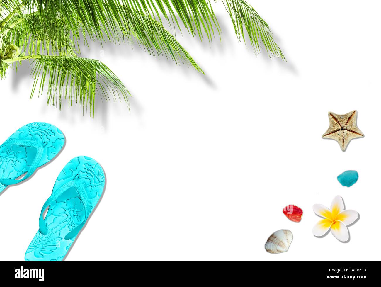 Fond d'été avec accessoires, tongs, coquillages et fond d'été avec accessoires de plage, tongs, coquillages et découpe de palmier o Banque D'Images