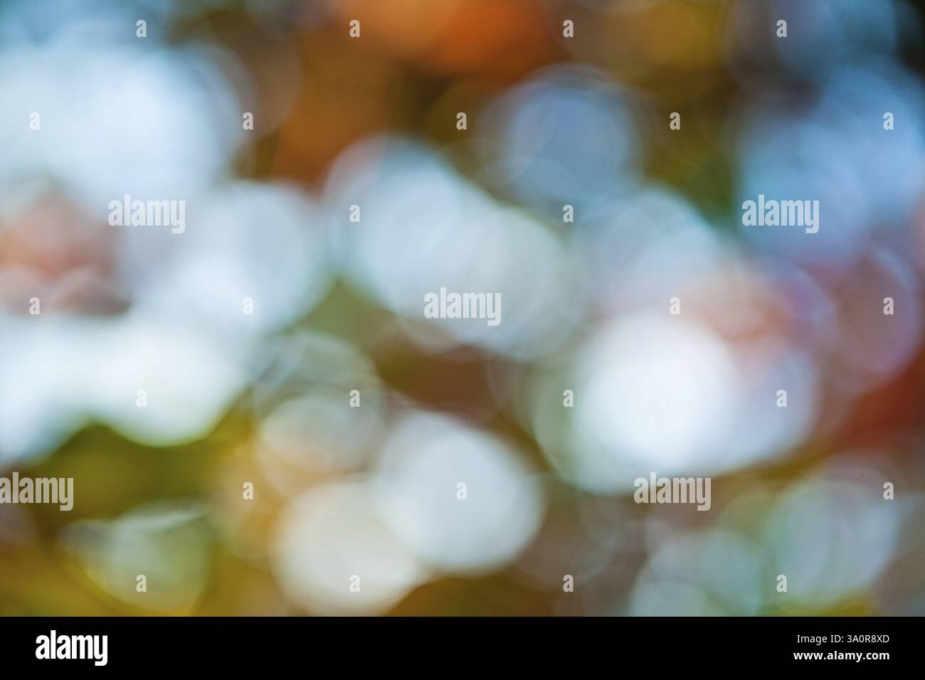 Bokeh feuilles d'automne floues sur fond de ciel Banque D'Images