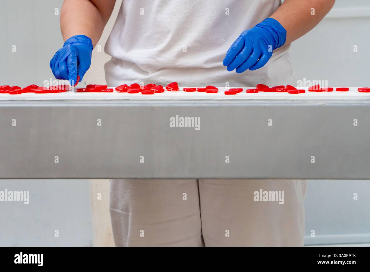 Employé de contrôle de la qualité chewing la production de cœurs gommeux à l'usine de bonbons Banque D'Images