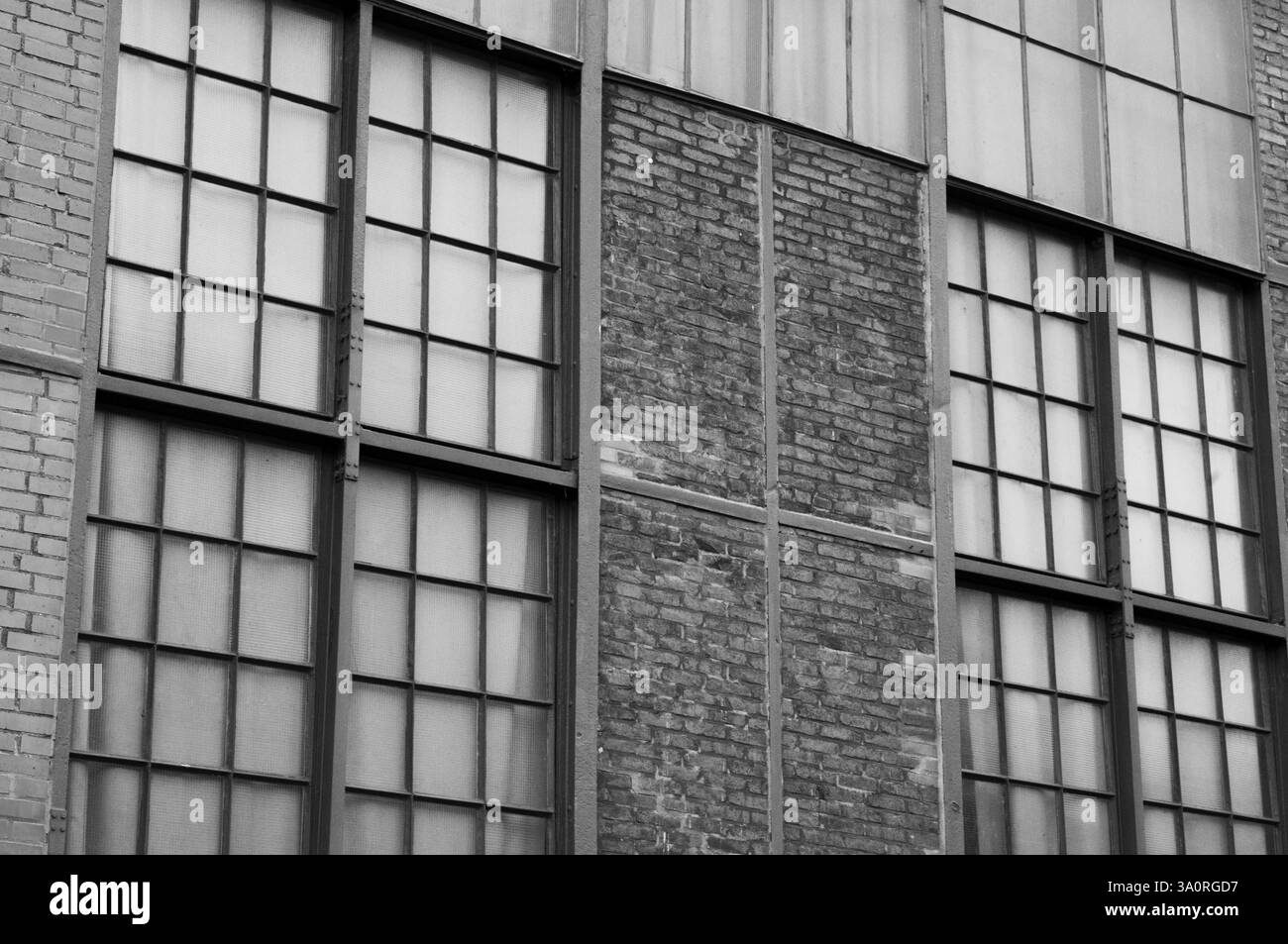 De grandes fenêtres industrielles alternent avec des sections de mur de briques dans cette étude architecturale en noir et blanc Banque D'Images