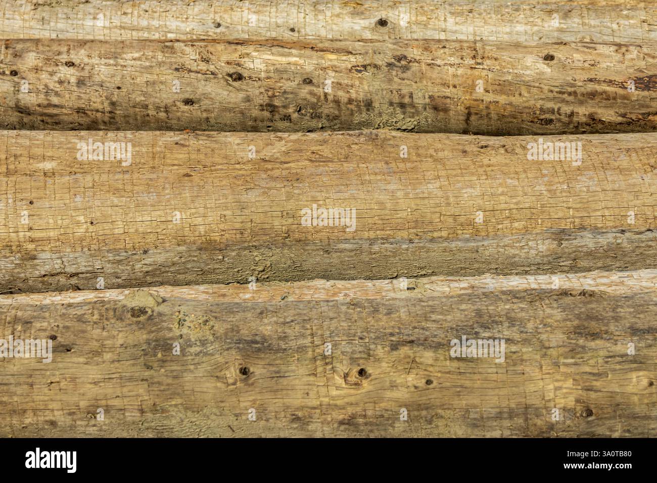 Disposition horizontale des bûches sans écorce, mettant en valeur leur texture naturelle du bois et leur aspect rustique Banque D'Images