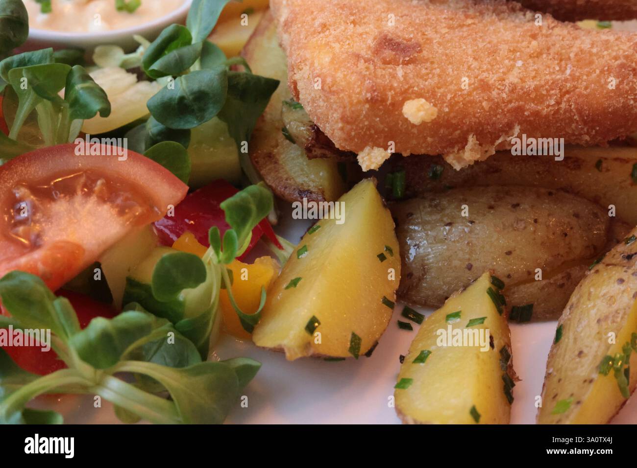Repas végétarien traditionnel tchèque sans viande - fromage frit, pommes de terre au four, salade de légumes avec tomates et sauce tartare Banque D'Images