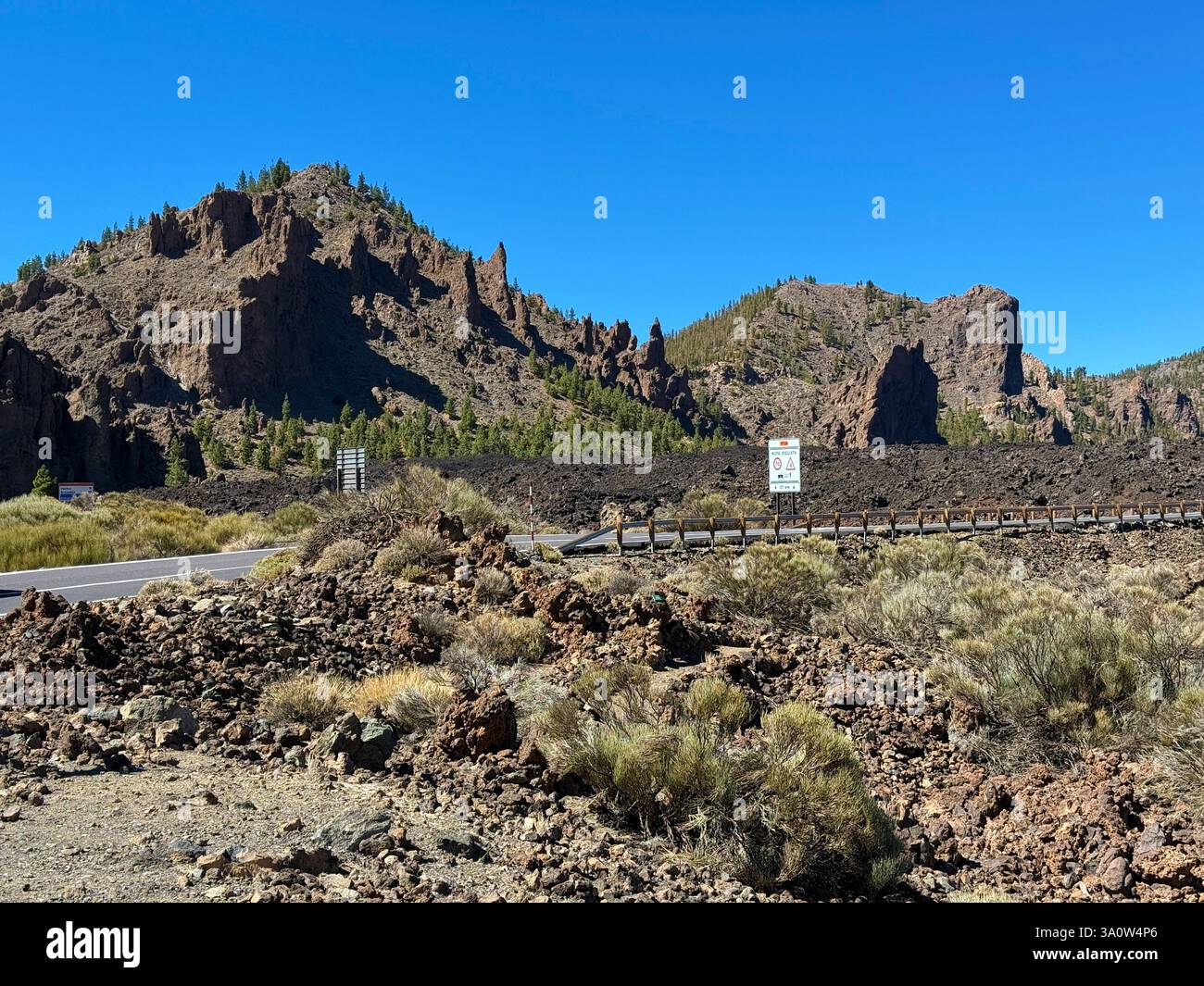 Formations rocheuses et champs de lave du mont Teide, le volcan actif de Tenerife, l'île des Canaries appartenant à l'Espagne, des éruptions précédentes - Image de stock capturée avec un smartphone