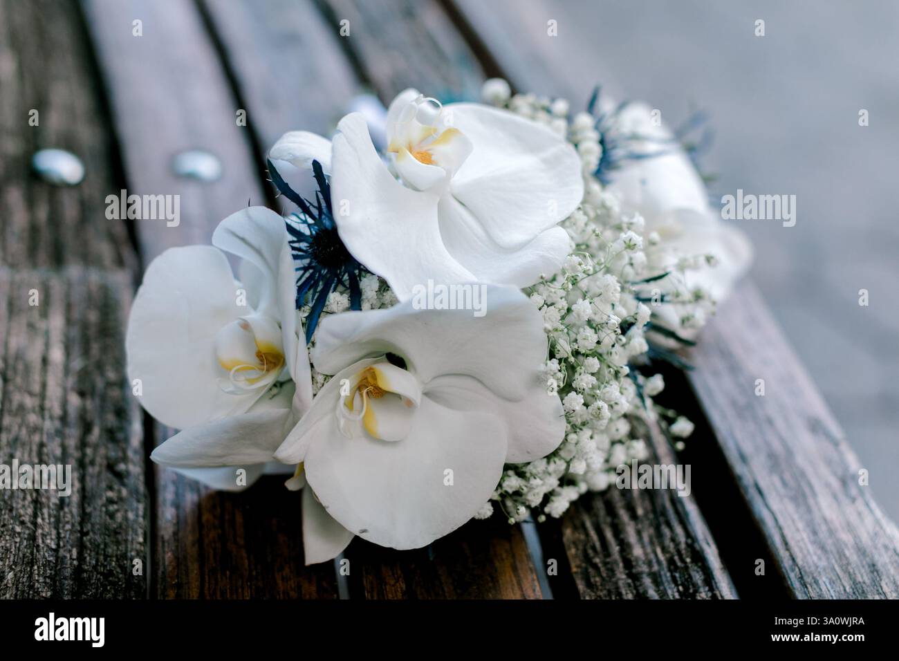 Un délicat bouquet d'orchidées blanches et le souffle de bébé repose sur une surface en bois altérée, mettant en valeur la beauté naturelle. Banque D'Images