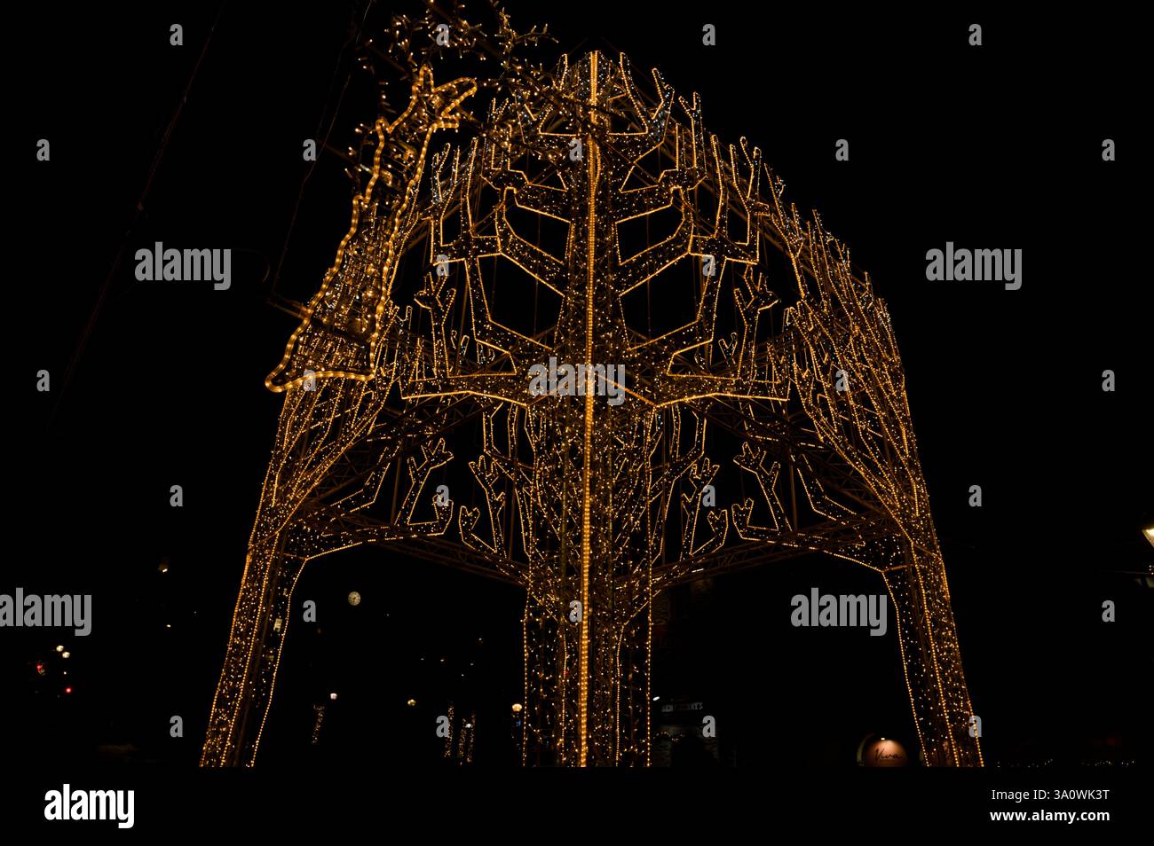 Une installation lumineuse ressemblant à des arbres incandescents illumine une nuit enneigée Banque D'Images