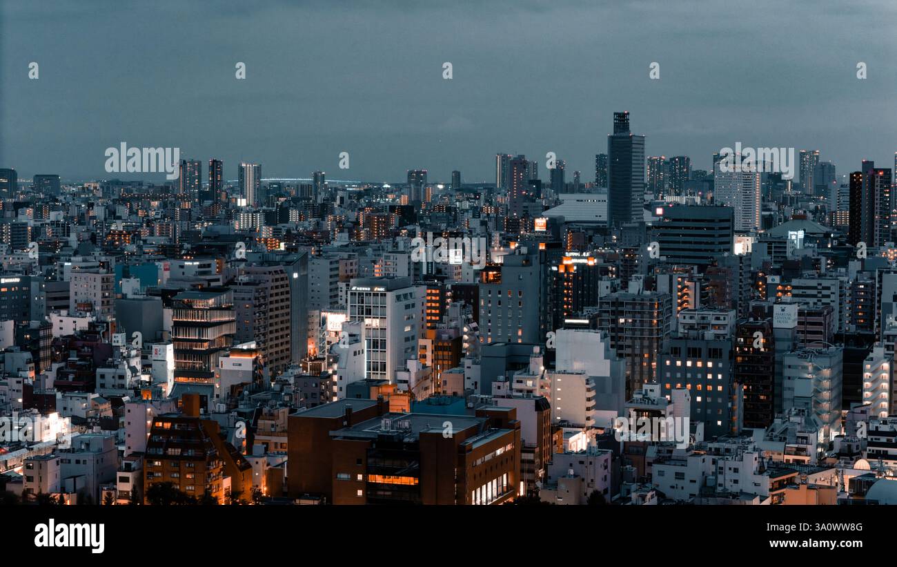 Une vue imprenable sur Tokyo au crépuscule, où les lumières de la ville et les bâtiments imposants créent un horizon dynamique et moderne sous un ciel bleu crépuscule calme. Banque D'Images
