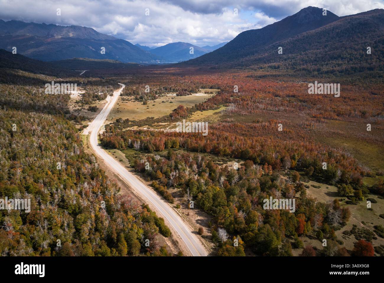 Belle route 40 en Argentine escortant les montagnes des Andes en autmn Banque D'Images