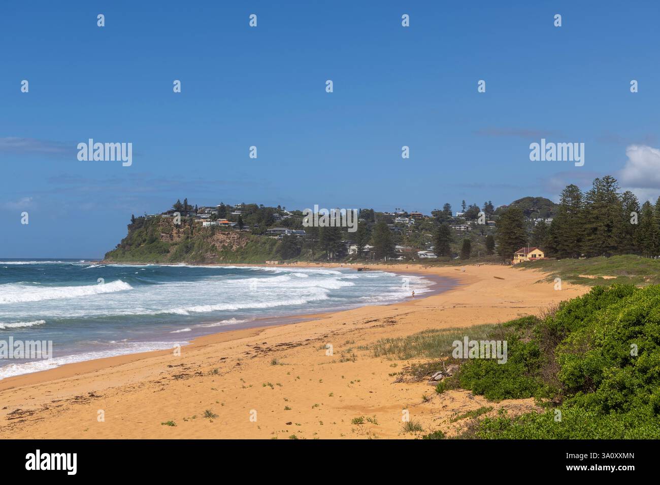 Newport Beach sur la côte est de Sydney, Australie, plage de sable presque déserte au ciel bleu, 2025 Banque D'Images