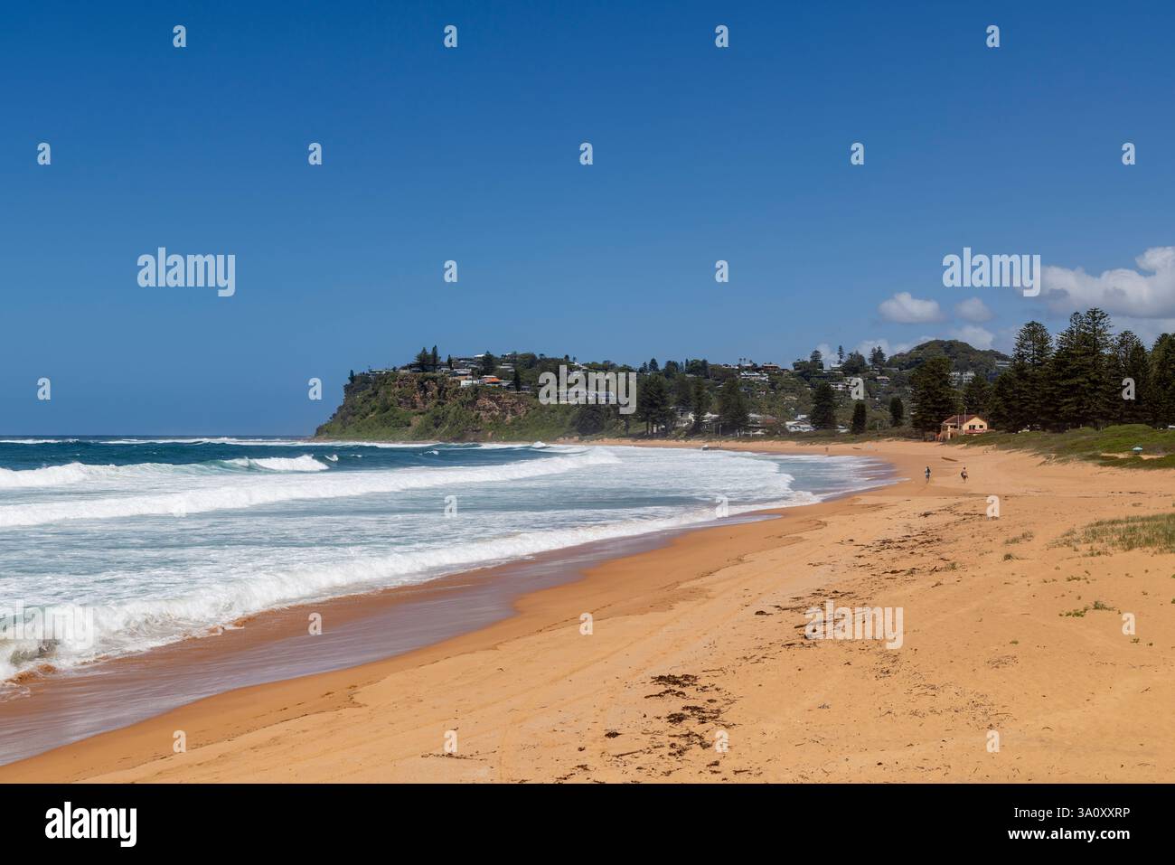Newport Beach sur la côte est de Sydney, Australie, plage de sable presque déserte au ciel bleu, 2025 Banque D'Images