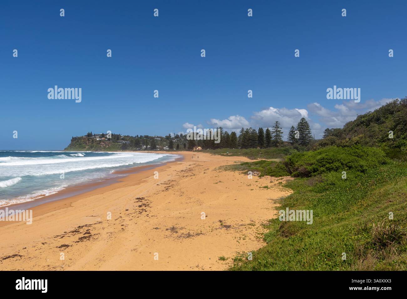 Newport Beach sur la côte est de Sydney, Australie, plage de sable presque déserte au ciel bleu, 2025 Banque D'Images
