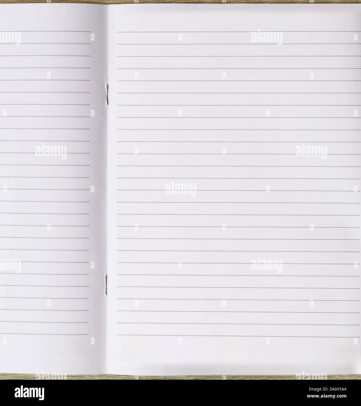 Les pages vides de carnet offrent une ardoise propre pour l'écriture créative, la prise de notes ou la journalisation. Idéal pour les étudiants, les professionnels et les passionnés. Banque D'Images