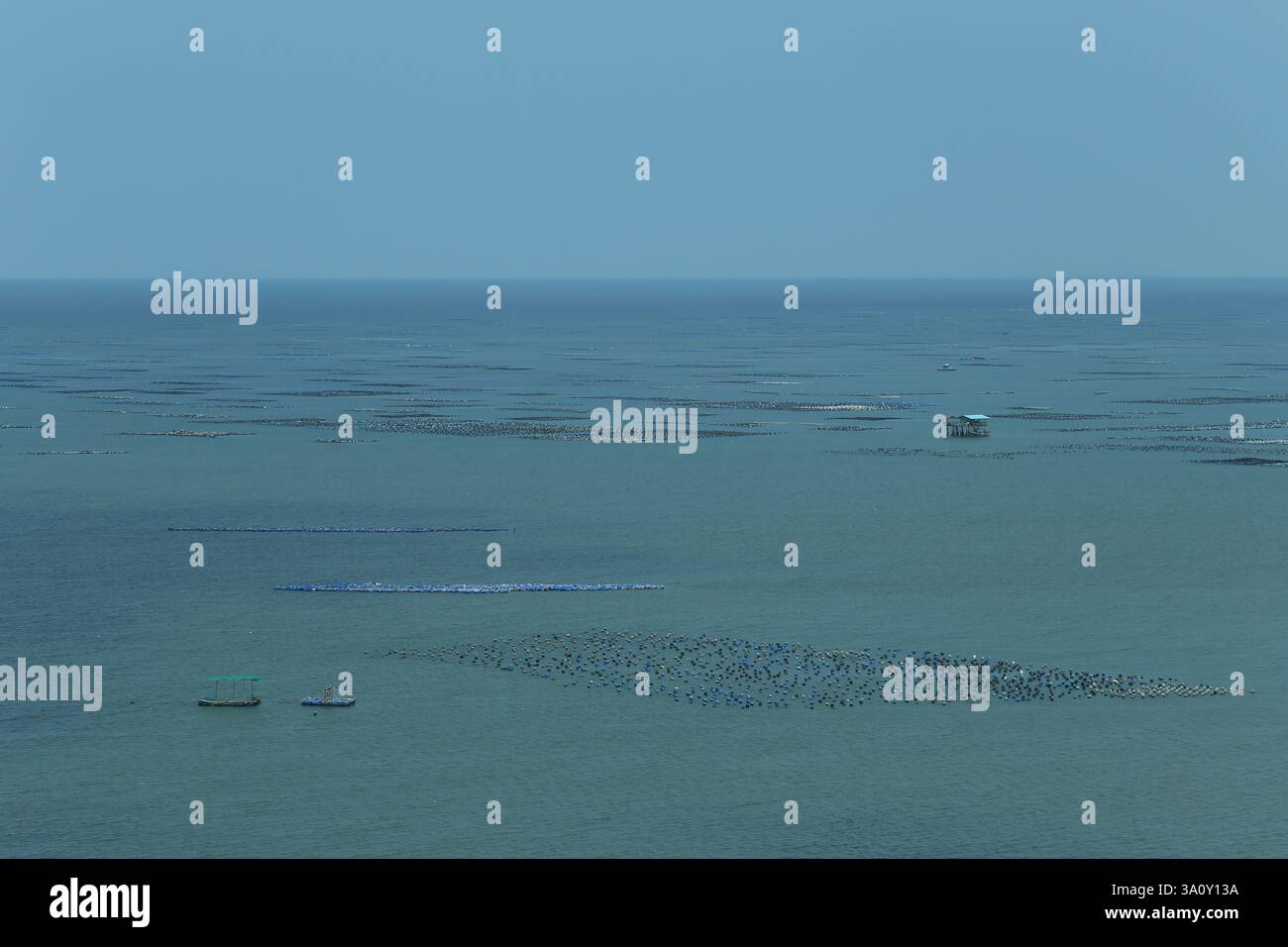 Élevage d'huîtres et de moules sur la côte de la province de Chonburi, côte de la mer par temps clair. Banque D'Images