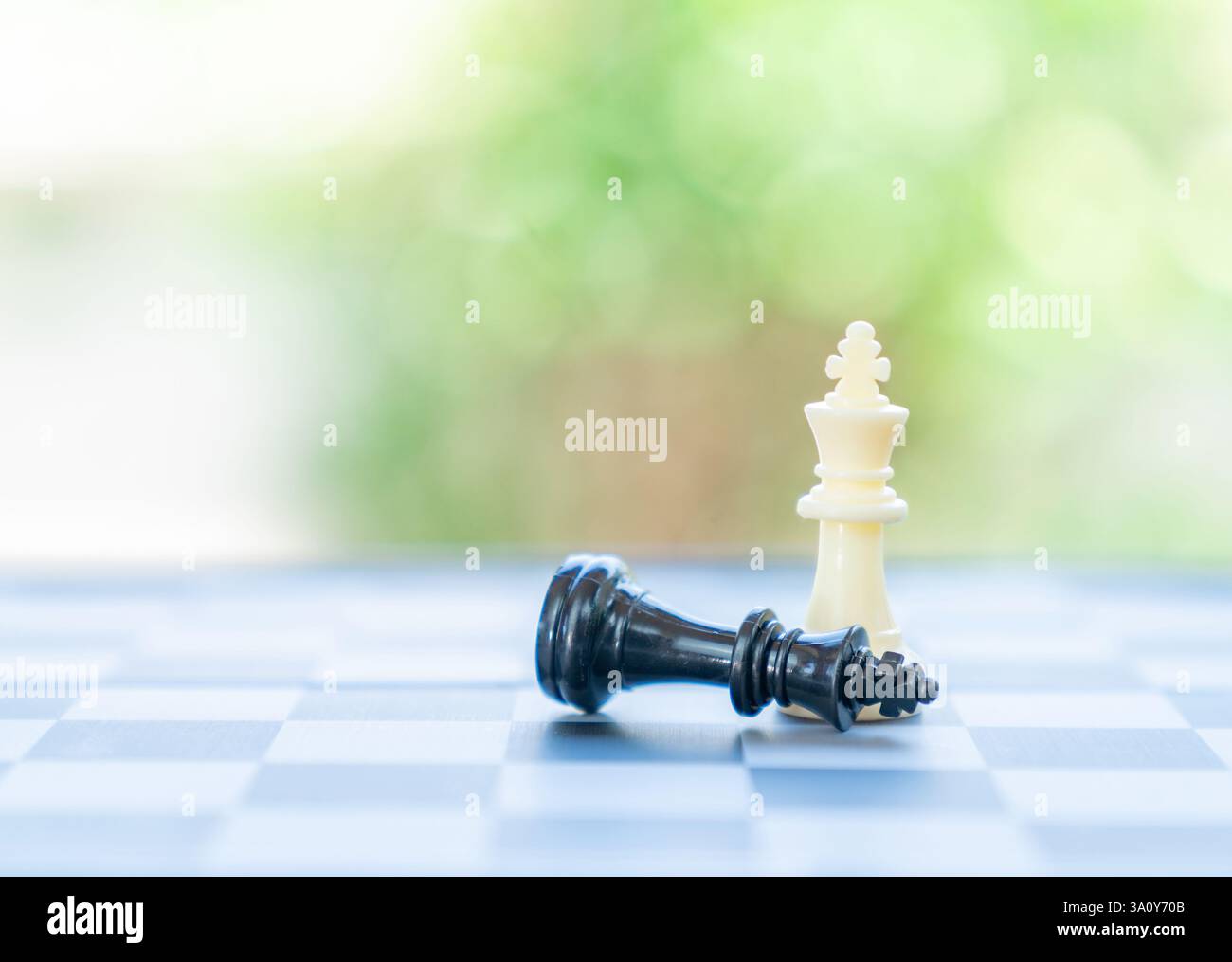 Blanc roi Checkmate debout sur les échecs du roi noir sur fond flou, concept de gagnant d'affaires. Banque D'Images