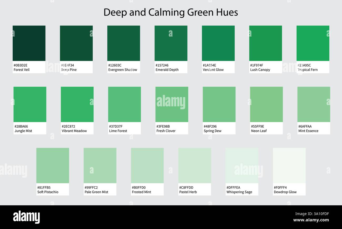 Palette de couleurs 20 nuances de vert - teintes profondes, dramatiques à douces, éclatantes avec codes et noms HEXADÉCIMAUX, nuances de couleur et combinaisons Illustration de Vecteur