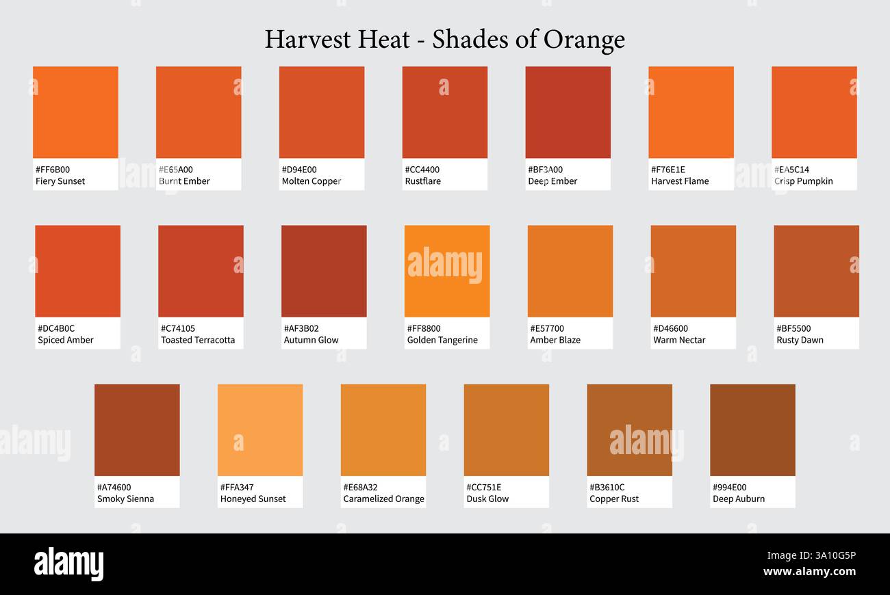 Palettes de couleurs 20 nuances d'Orange - chaleur, feu, automne, coucher de soleil couleurs - avec codes HEXADÉCIMAUX et noms, nuances de couleurs et combinaisons Illustration de Vecteur