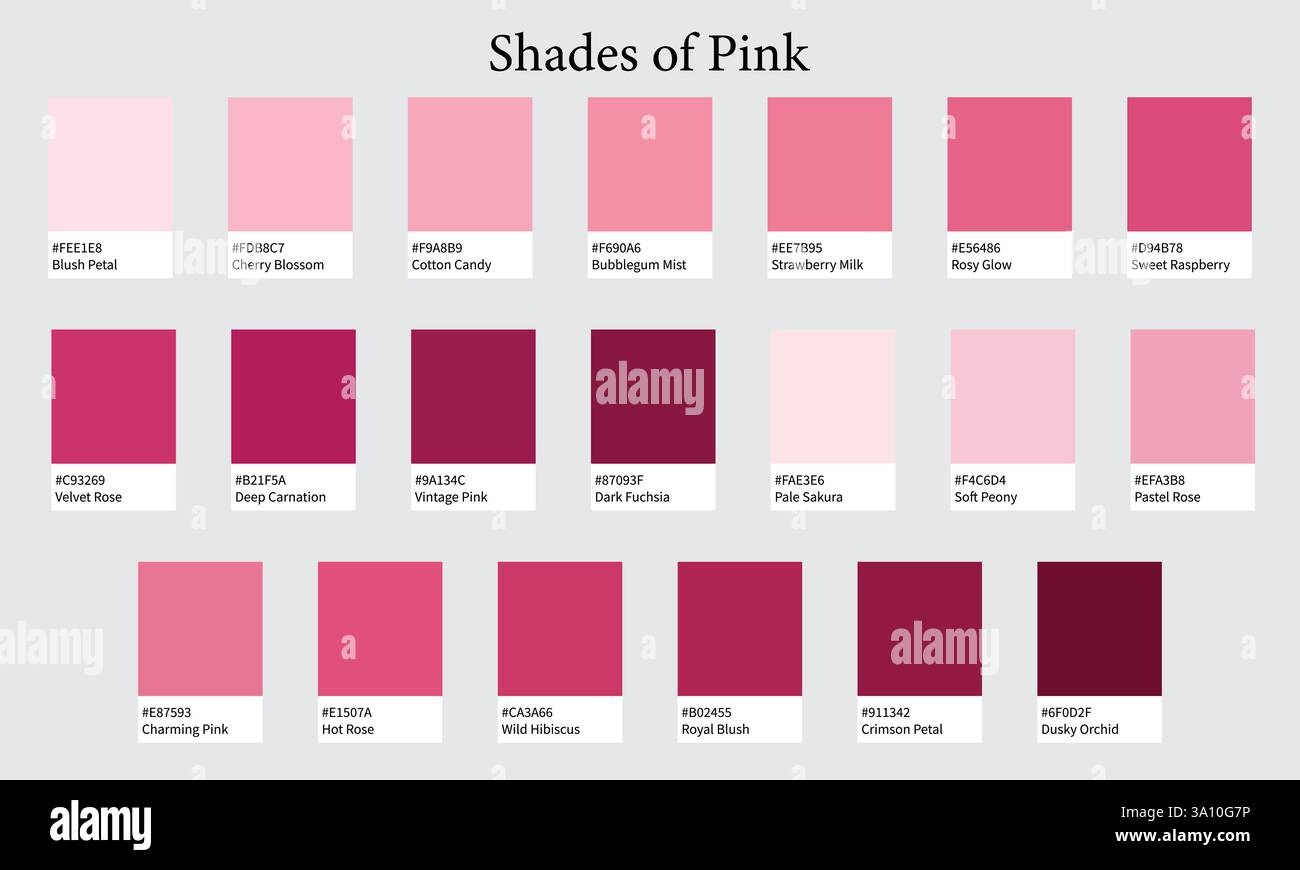 Palettes de couleurs 20 nuances de Rose - Rose, Blush, Magenta, Dusty Colors - avec codes HEXADÉCIMAUX et noms, nuances de couleurs et combinaisons Illustration de Vecteur