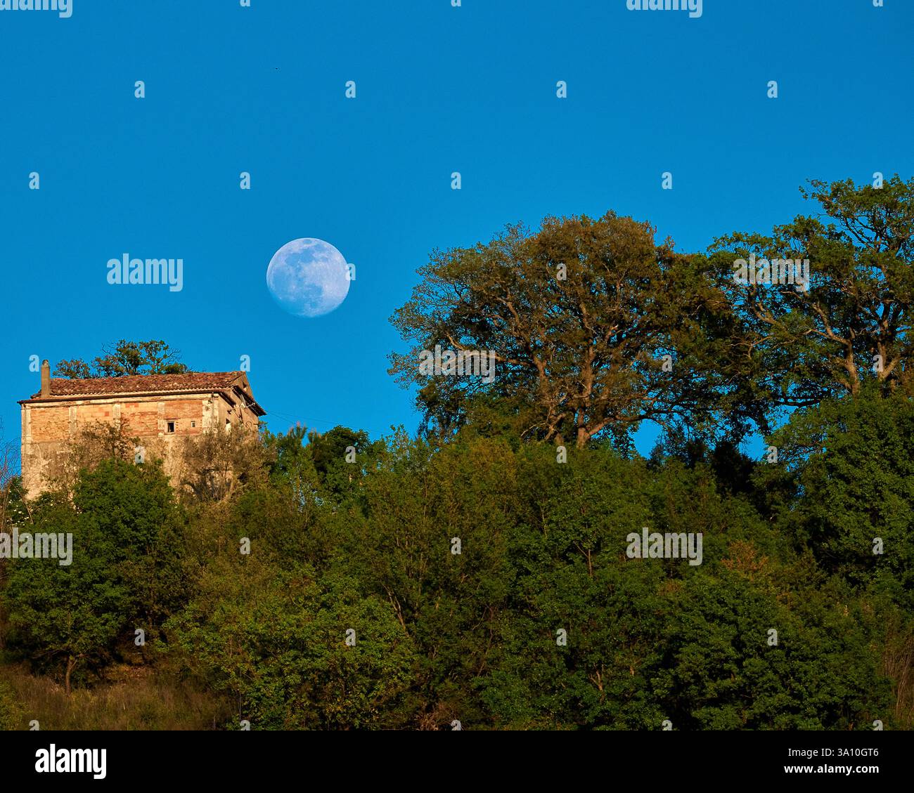 Une pleine lune dans un ciel bleu sur un bâtiment et des arbres avec de la verdure Banque D'Images