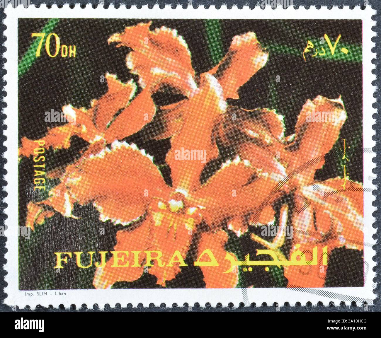 Timbre-poste oblitéré imprimé par Fujairah (Fujeira), qui montre des fleurs, vers 1972. Banque D'Images