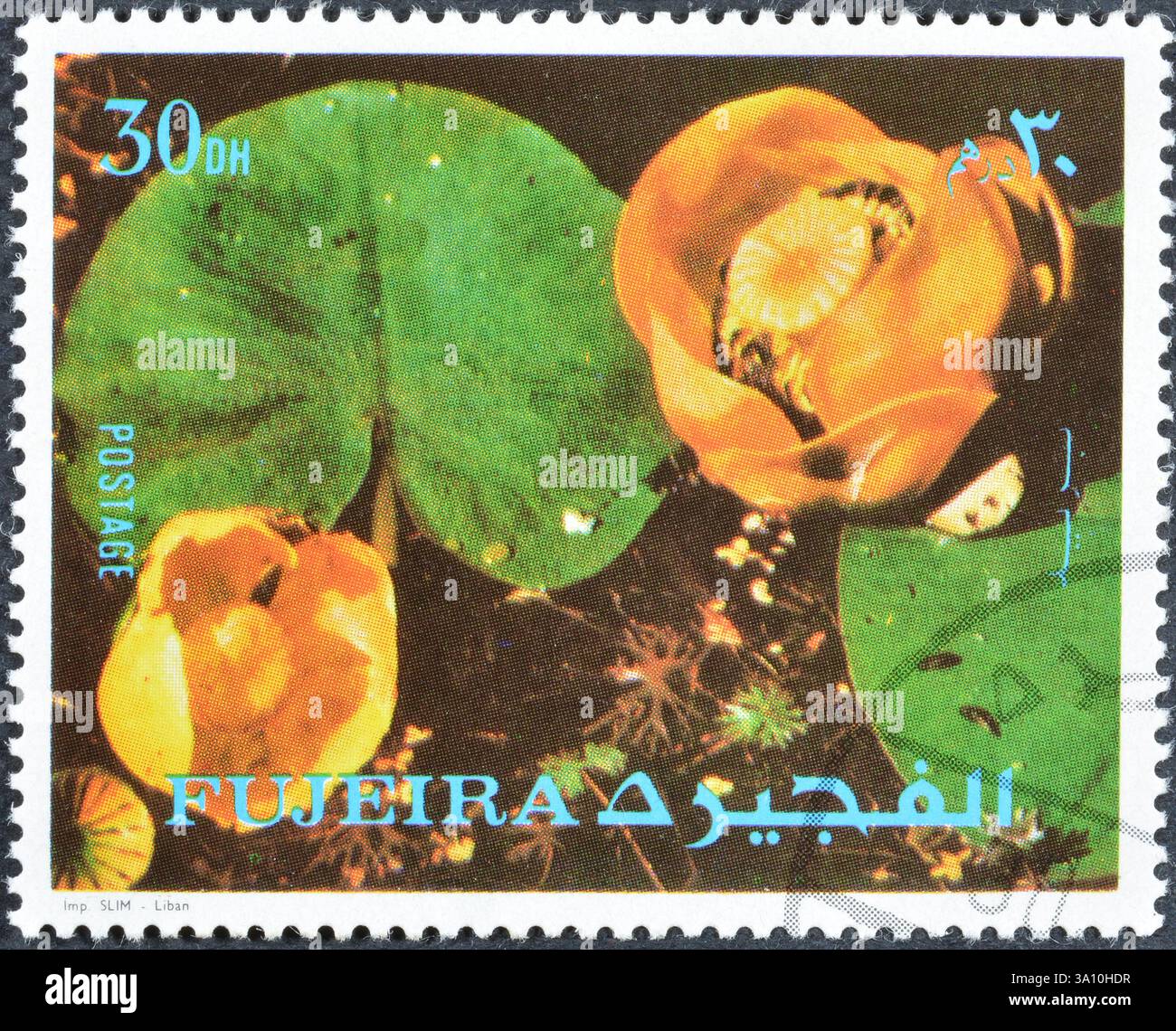 Timbre-poste oblitéré imprimé par Fujairah (Fujeira), qui montre des fleurs, vers 1972. Banque D'Images