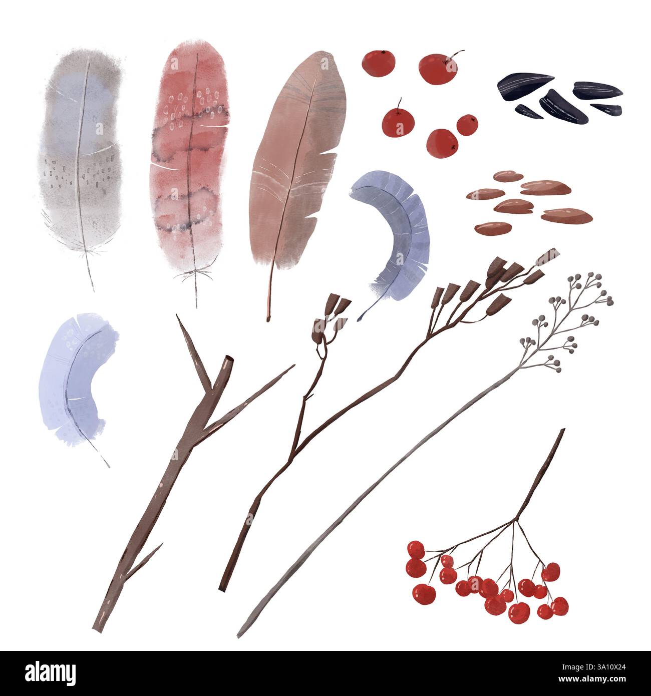 Ensemble aquarelle sur le thème des oiseaux d'hiver avec plumes, graines, baies, brindilles et herbe. Illustration numérique dessinée à la main dans un style mignon et adapté aux enfants. PE Banque D'Images