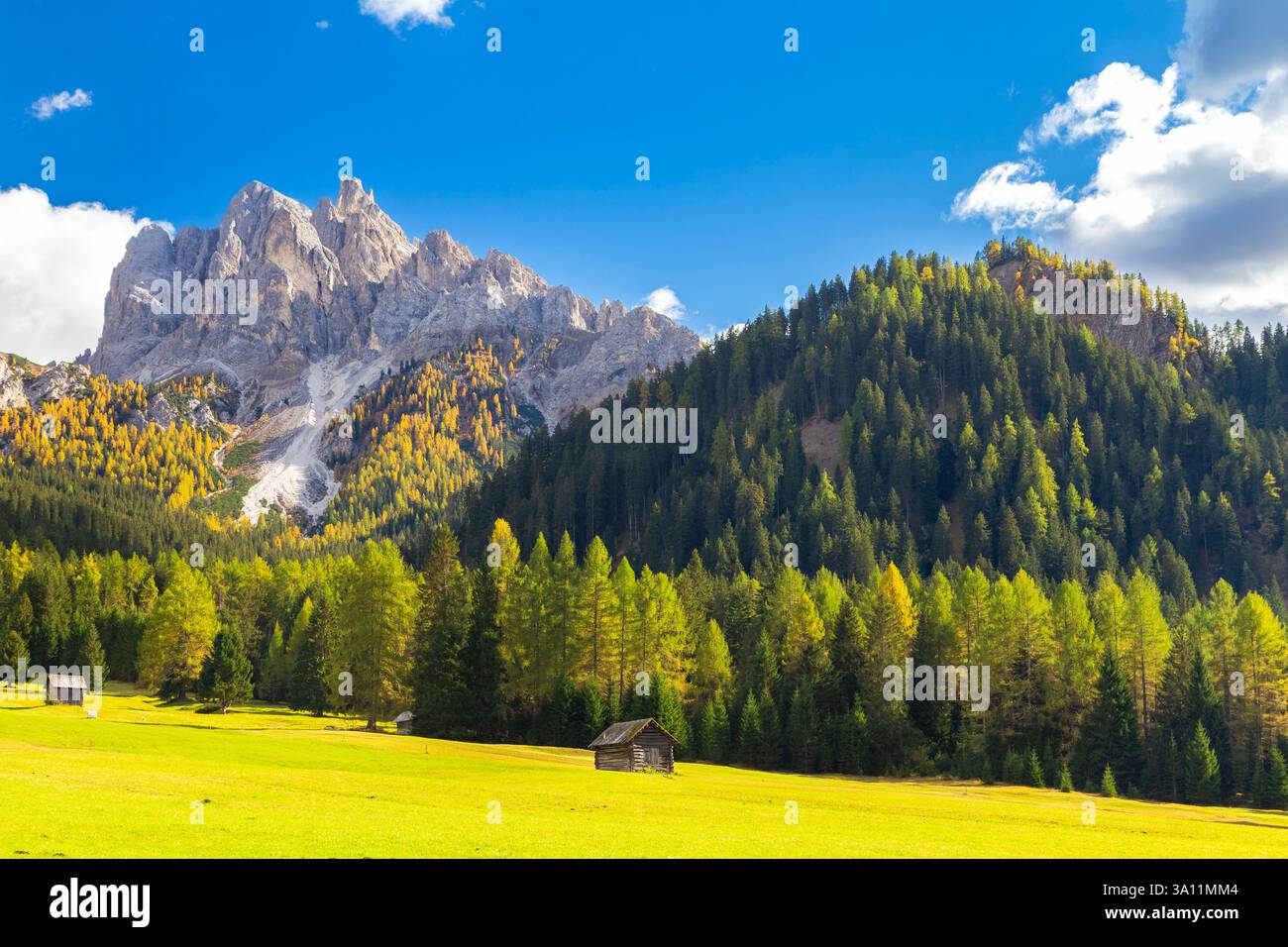 Vue sur Picco di Vallandro en automne. Europe, Italie, Tyrol du Sud, vallée de Braies, province de Bolzano, municipalité de Braies. Banque D'Images