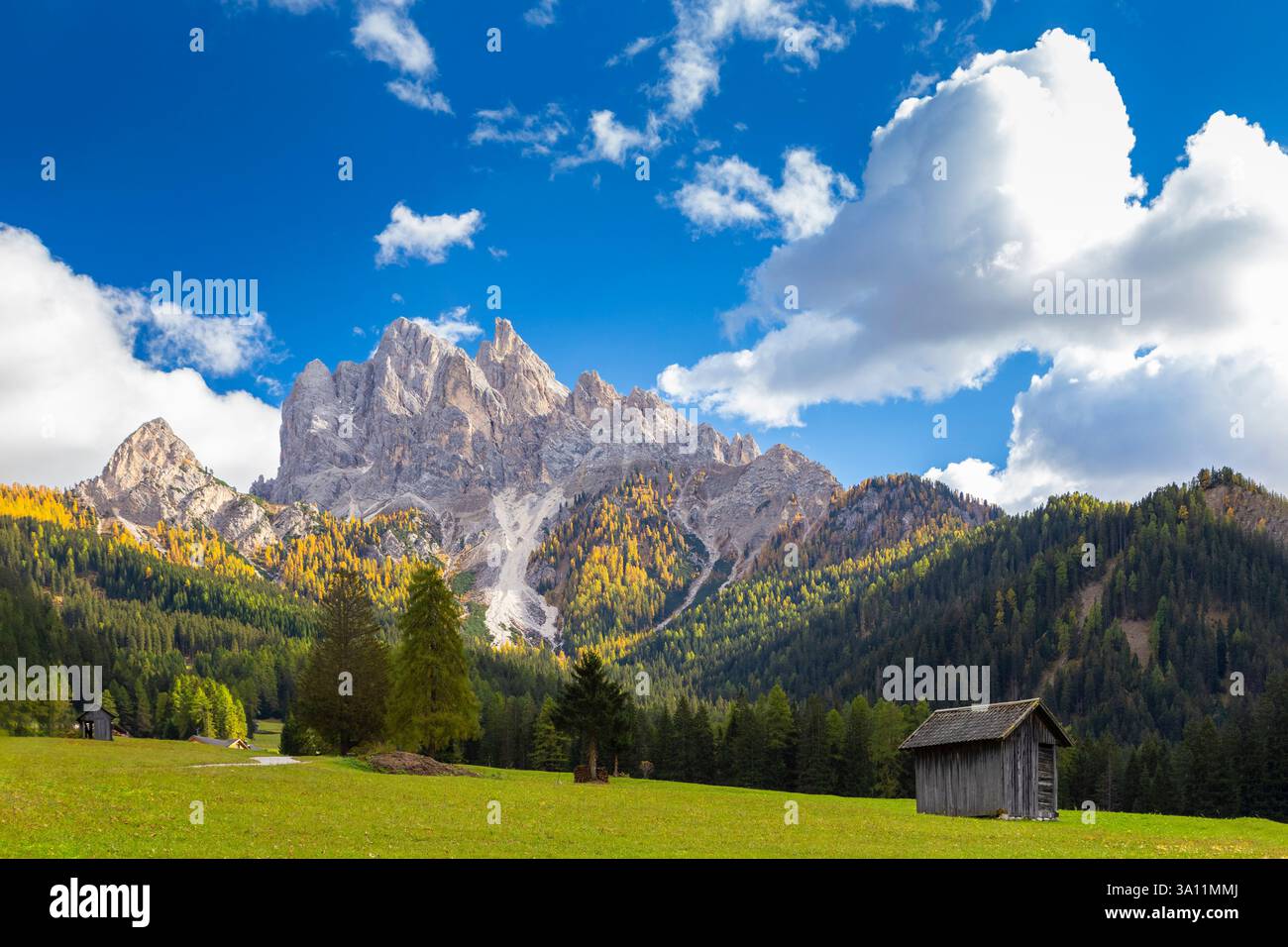 Vue sur Picco di Vallandro en automne. Europe, Italie, Tyrol du Sud, vallée de Braies, province de Bolzano, municipalité de Braies. Banque D'Images