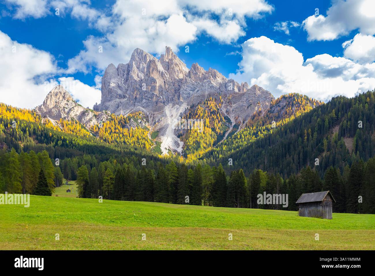 Vue sur Picco di Vallandro en automne. Europe, Italie, Tyrol du Sud, vallée de Braies, province de Bolzano, municipalité de Braies. Banque D'Images
