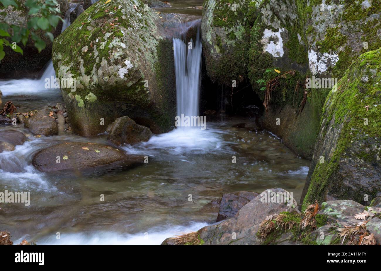 Naissance d'une rivière dans les montagnes avec source horizontale d'eau claire et douce Banque D'Images