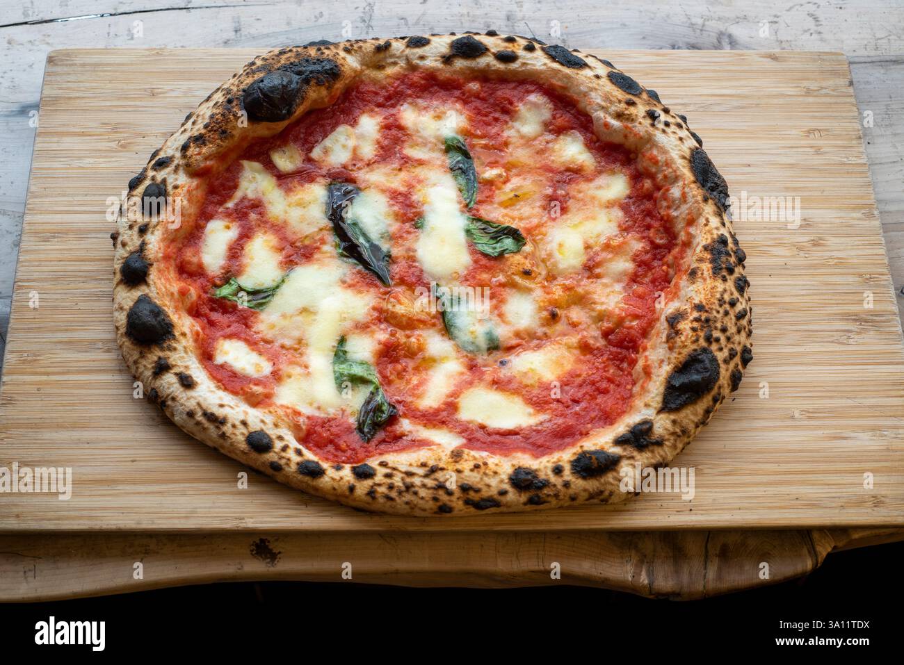 Pizza Maggie : délicieuse pizza artisanale margherita au feu de bois faite à la main avec basilic frais Banque D'Images