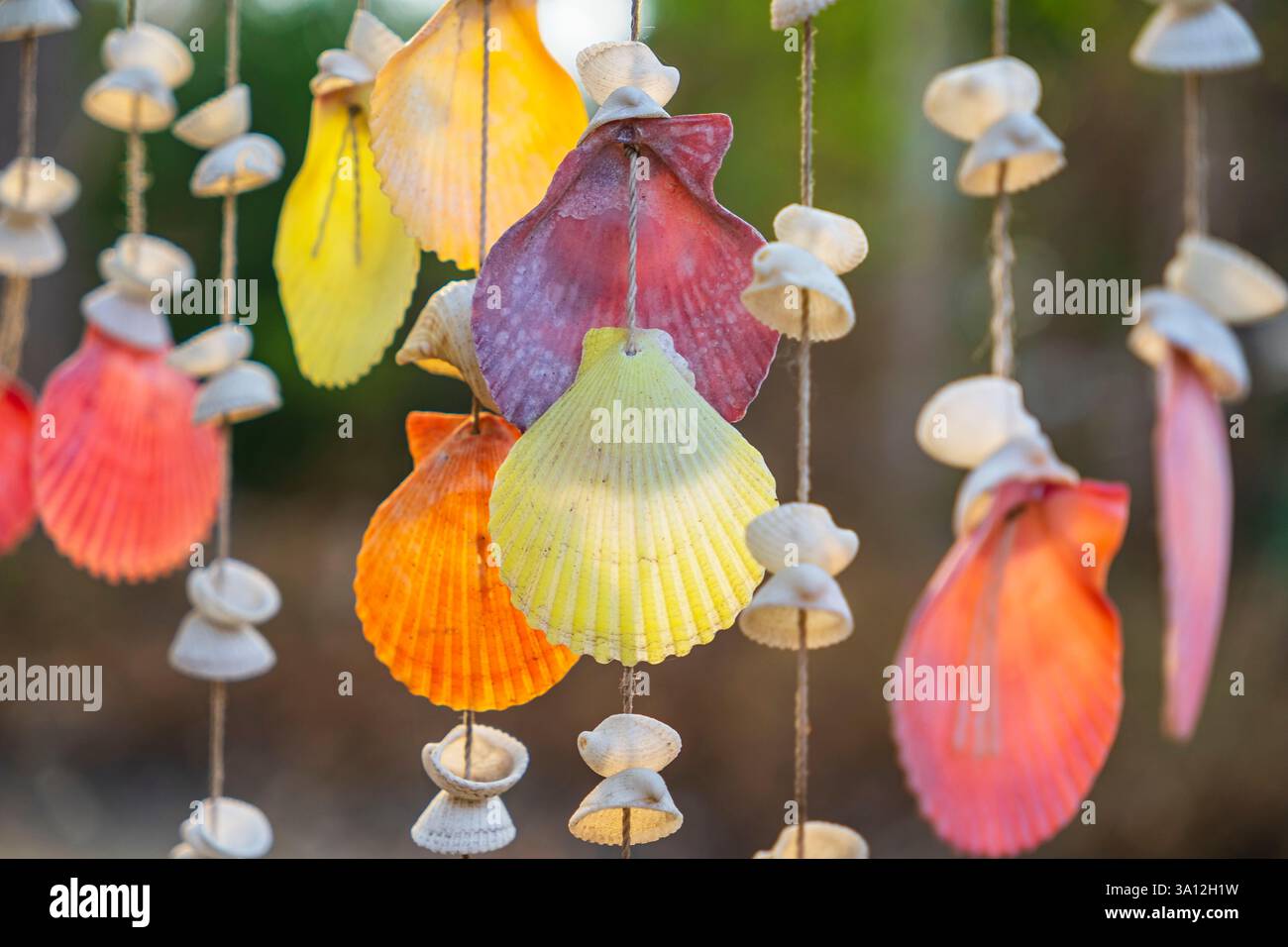 Thaïlande, province de Rayong, île de Ko Samet, guirlande de coquillages Banque D'Images