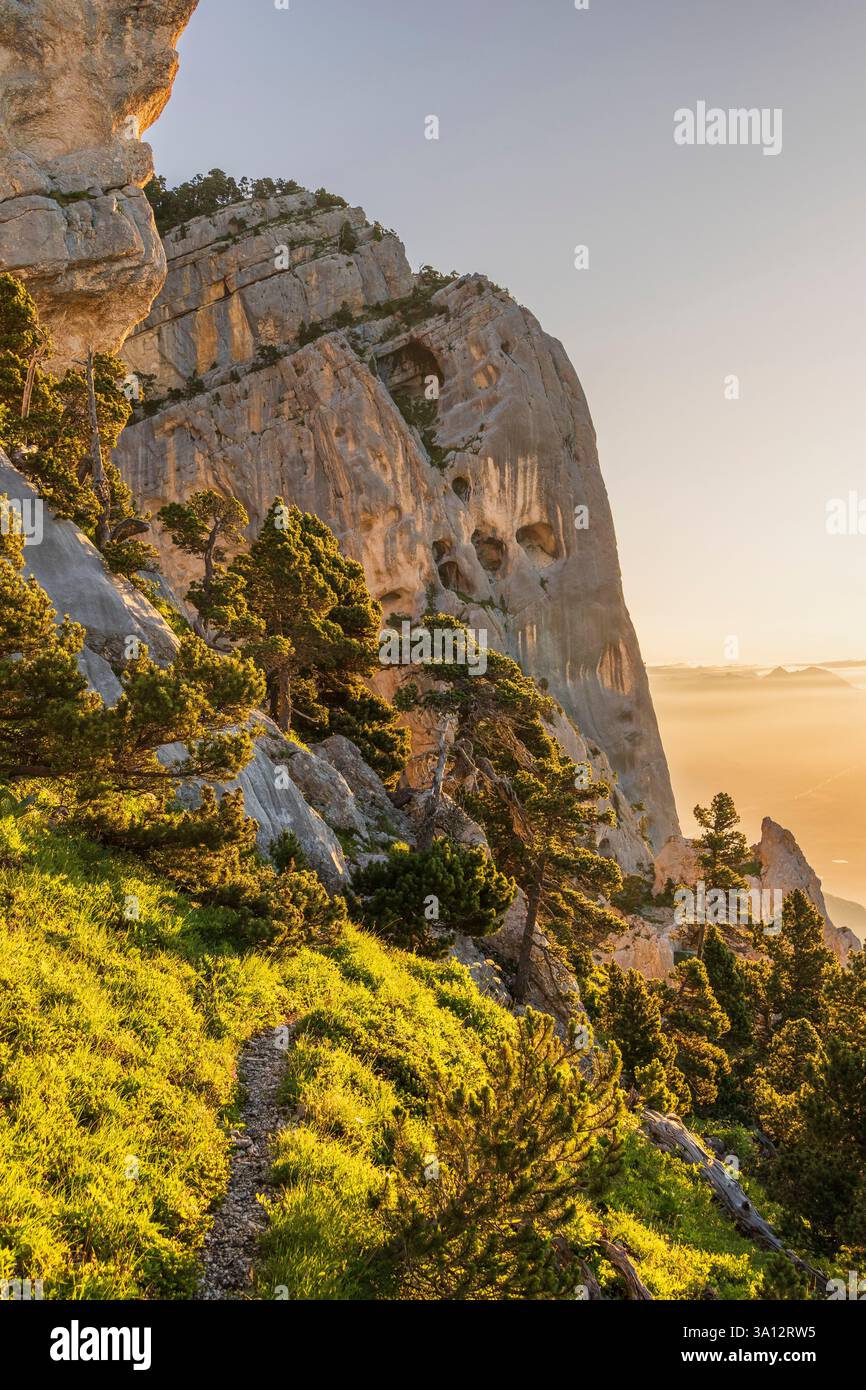 France, Isère, Parc naturel régional de Chartreuse, réserve naturelle des hauts de Chartreuse Banque D'Images