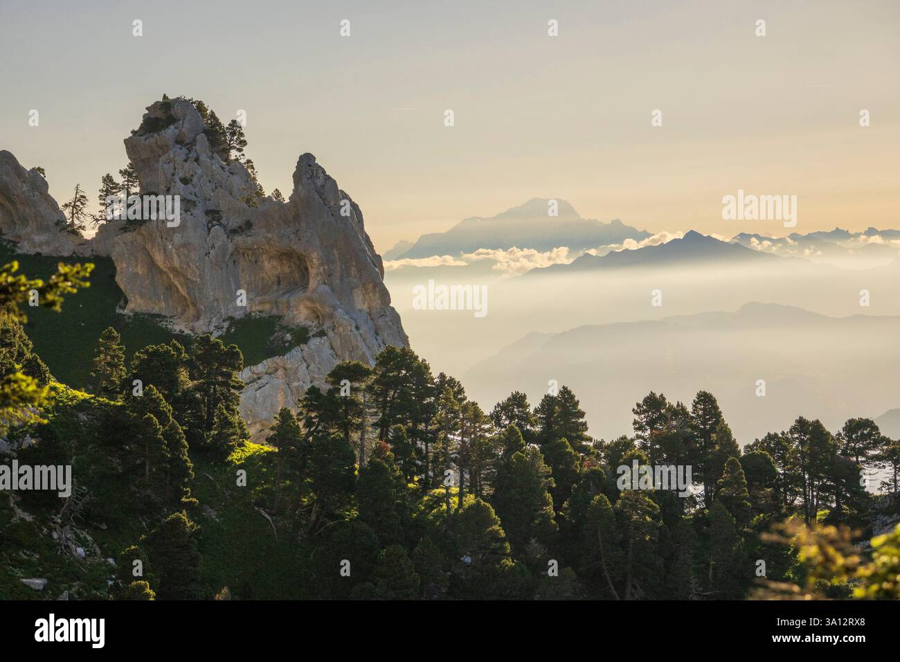 France, Isère, Parc naturel régional de Chartreuse, réserve naturelle des hauts de Chartreuse Banque D'Images