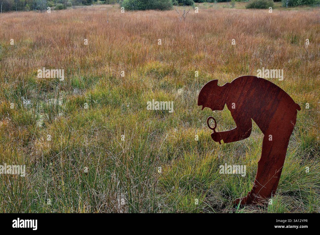 France, Bourgogne Franche Comté, Parc naturel régional du Morvan Banque D'Images