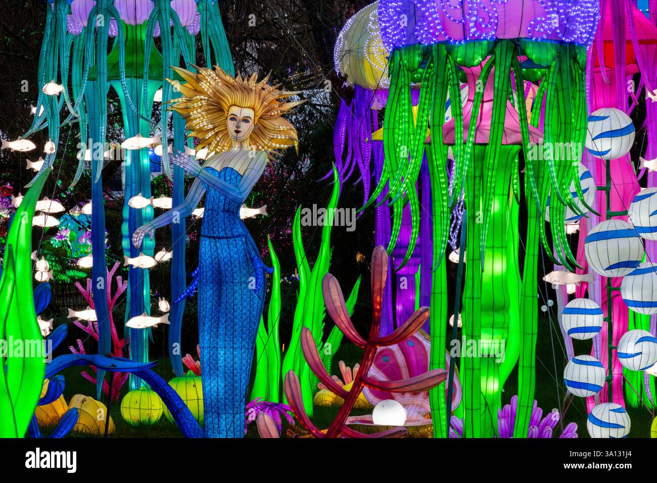 France, Tarn et Garonne, Montauban, jardin des plantes, Fête des lanternes, vue nocturne d'installations lumineuses géantes recouvertes de soie, mises en scène à l'extérieur dans un parc Banque D'Images